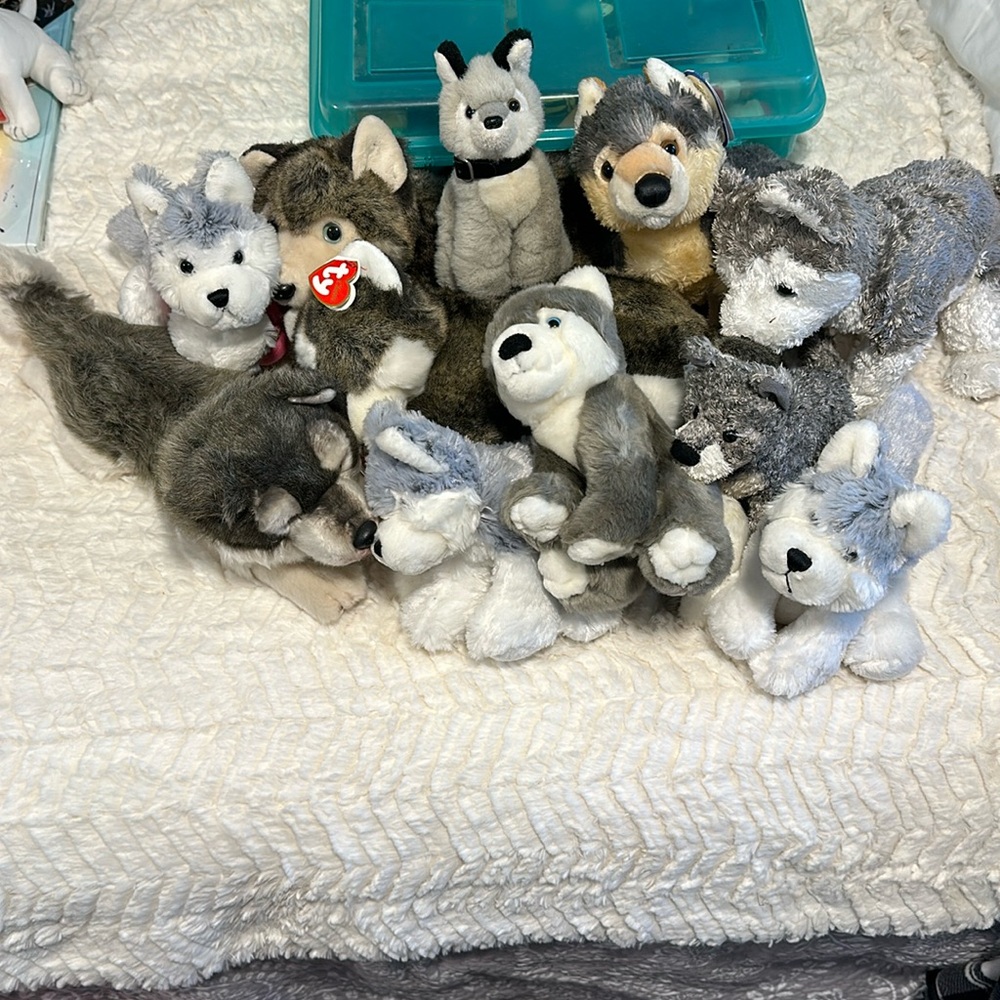 Husky Collection